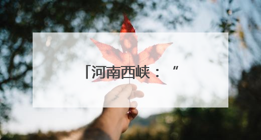 河南西峡：“枫下说事”成基层治理品牌