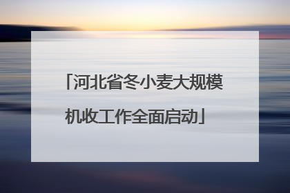 河北省冬小麦大规模机收工作全面启动