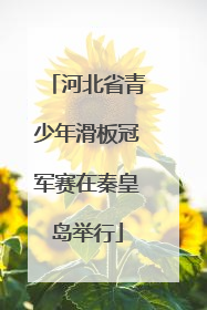河北省青少年滑板冠军赛在秦皇岛举行