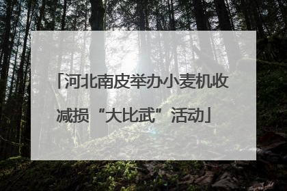 河北南皮举办小麦机收减损“大比武”活动