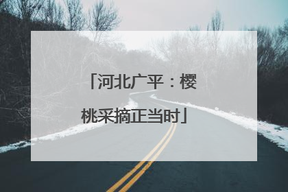 河北广平：樱桃采摘正当时