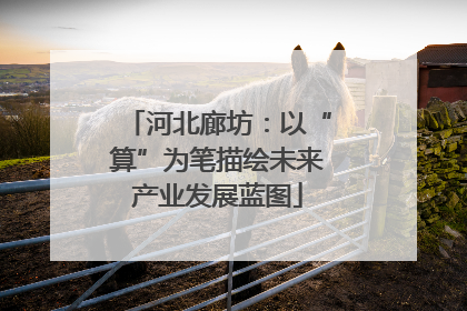 河北廊坊：以“算”为笔描绘未来产业发展蓝图