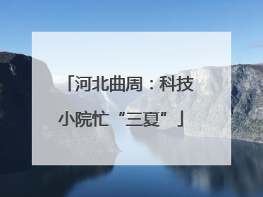 河北曲周：科技小院忙“三夏”