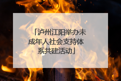 泸州江阳举办未成年人社会支持体系共建活动