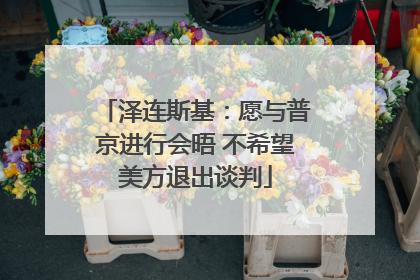 泽连斯基：愿与普京进行会晤 不希望美方退出谈判