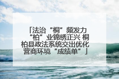 法治“桐”频发力 “柏”业锦绣正兴 桐柏县政法系统交出优化营商环境“成绩单”