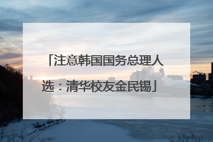 注意韩国国务总理人选：清华校友金民锡