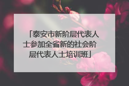 泰安市新阶层代表人士参加全省新的社会阶层代表人士培训班