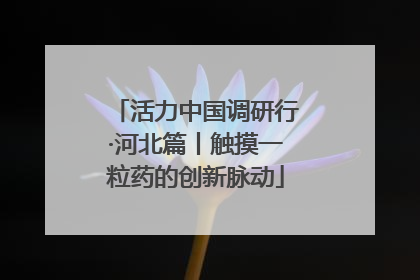 活力中国调研行·河北篇丨触摸一粒药的创新脉动