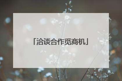 洽谈合作觅商机