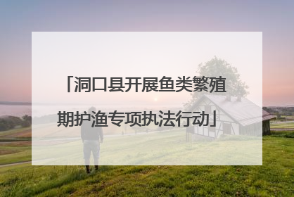 洞口县开展鱼类繁殖期护渔专项执法行动