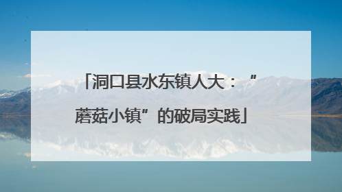 洞口县水东镇人大：“蘑菇小镇”的破局实践