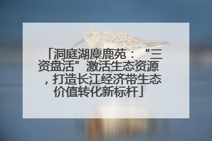 洞庭湖麋鹿苑：“三资盘活”激活生态资源，打造长江经济带生态价值转化新标杆