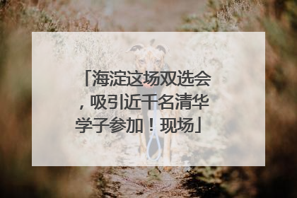 海淀这场双选会，吸引近千名清华学子参加！现场