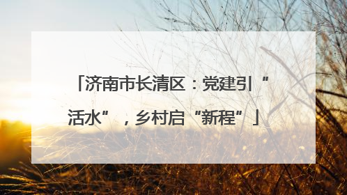 济南市长清区：党建引“活水”，乡村启“新程”