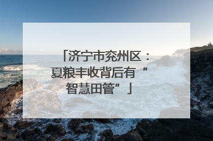济宁市兖州区：夏粮丰收背后有“智慧田管”