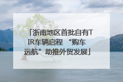 浙南地区首批自有TIR车辆启程 “购车远航”助推外贸发展