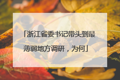 浙江省委书记带头到最薄弱地方调研，为何