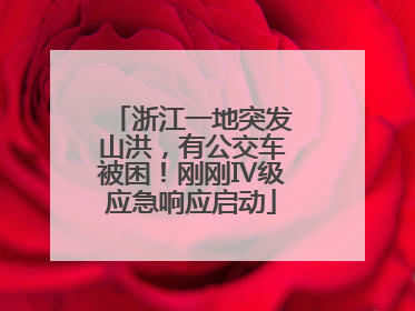 浙江一地突发山洪，有公交车被困！刚刚Ⅳ级应急响应启动
