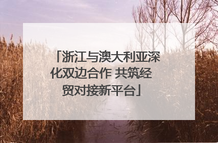 浙江与澳大利亚深化双边合作 共筑经贸对接新平台