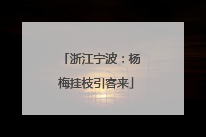 浙江宁波：杨梅挂枝引客来