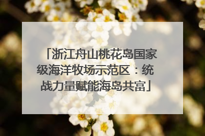 浙江舟山桃花岛国家级海洋牧场示范区：统战力量赋能海岛共富