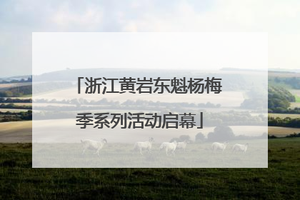 浙江黄岩东魁杨梅季系列活动启幕