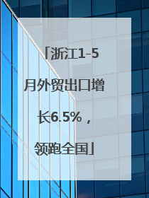 浙江1-5月外贸出口增长6.5%，领跑全国