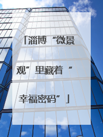 淄博“微景观”里藏着“幸福密码”