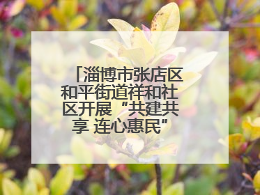 淄博市张店区和平街道祥和社区开展“共建共享 连心惠民”便民志愿活动