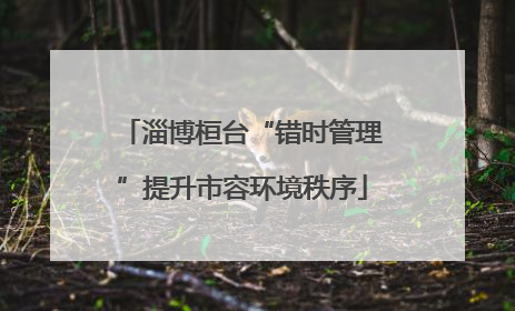 淄博桓台“错时管理”提升市容环境秩序