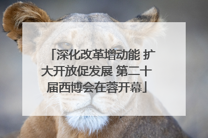 深化改革增动能 扩大开放促发展 第二十届西博会在蓉开幕