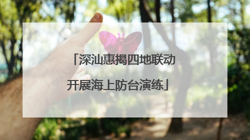深汕惠揭四地联动开展海上防台演练