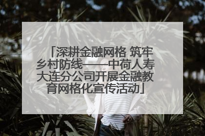 深耕金融网格 筑牢乡村防线——中荷人寿大连分公司开展金融教育网格化宣传活动