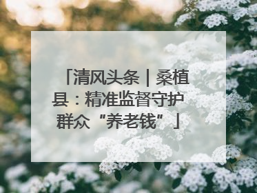 清风头条｜桑植县：精准监督守护群众“养老钱”