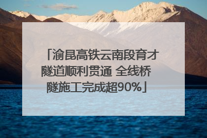 渝昆高铁云南段育才隧道顺利贯通 全线桥隧施工完成超90%
