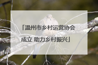 温州市乡村运营协会成立 助力乡村振兴
