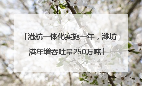 港航一体化实施一年，潍坊港年增吞吐量250万吨