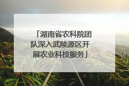 湖南省农科院团队深入武陵源区开展农业科技服务