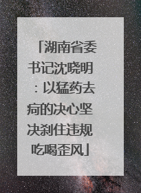 湖南省委书记沈晓明：以猛药去疴的决心坚决刹住违规吃喝歪风
