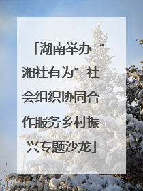 湖南举办“湘社有为”社会组织协同合作服务乡村振兴专题沙龙