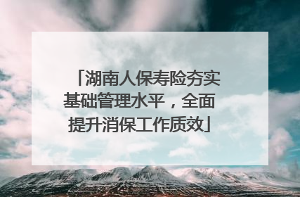 湖南人保寿险夯实基础管理水平，全面提升消保工作质效