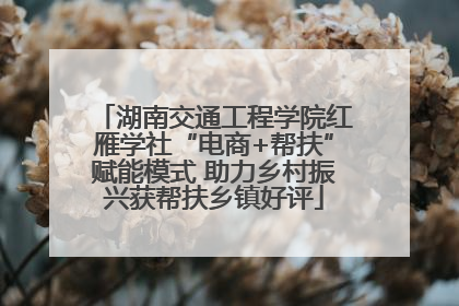 湖南交通工程学院红雁学社“电商+帮扶”赋能模式 助力乡村振兴获帮扶乡镇好评