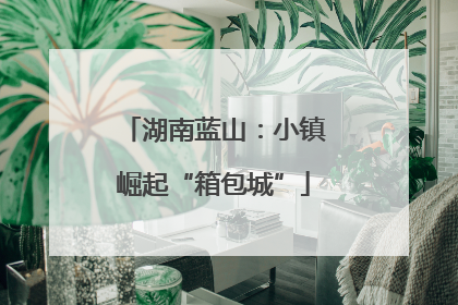 湖南蓝山：小镇崛起“箱包城”