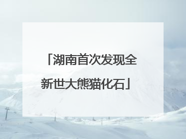 湖南首次发现全新世大熊猫化石