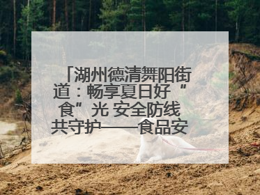 湖州德清舞阳街道：畅享夏日好“食”光 安全防线共守护——食品安全与中医养生知识宣传