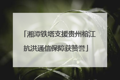 湘潭铁塔支援贵州榕江抗洪通信保障获赞誉