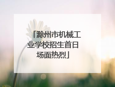 滁州市机械工业学校招生首日场面热烈