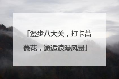 漫步八大关，打卡蔷薇花，邂逅浪漫风景