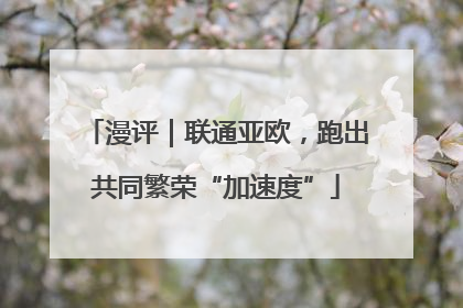 漫评｜联通亚欧，跑出共同繁荣“加速度”